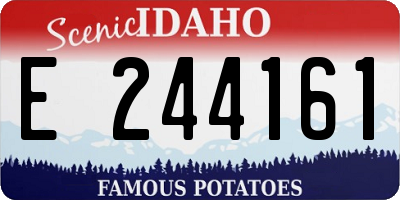 ID license plate E244161