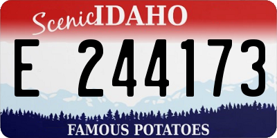 ID license plate E244173