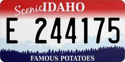 ID license plate E244175