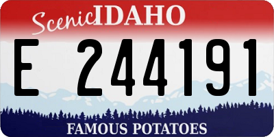 ID license plate E244191