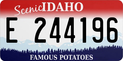 ID license plate E244196