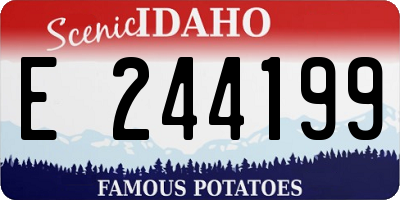 ID license plate E244199