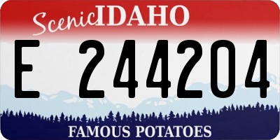 ID license plate E244204