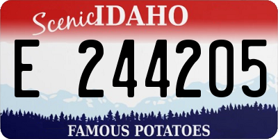 ID license plate E244205