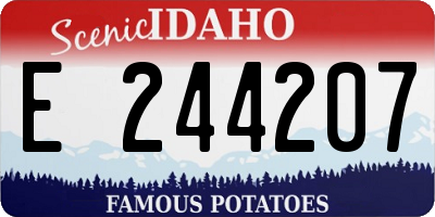 ID license plate E244207
