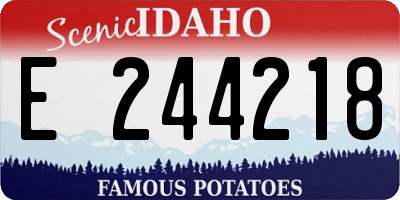ID license plate E244218