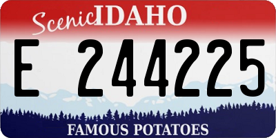 ID license plate E244225