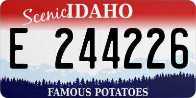 ID license plate E244226