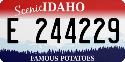 ID license plate E244229