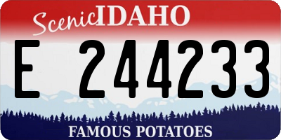 ID license plate E244233