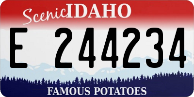 ID license plate E244234