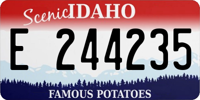 ID license plate E244235
