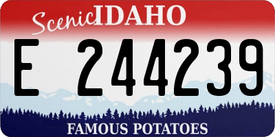ID license plate E244239