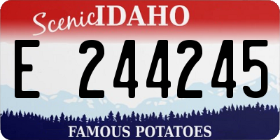 ID license plate E244245