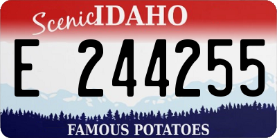 ID license plate E244255