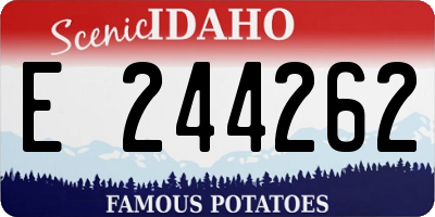 ID license plate E244262