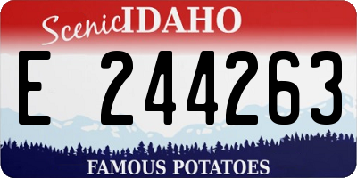 ID license plate E244263