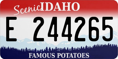 ID license plate E244265