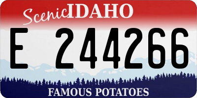 ID license plate E244266
