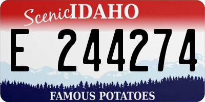 ID license plate E244274