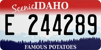 ID license plate E244289