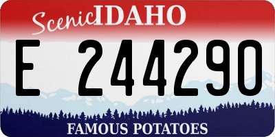 ID license plate E244290