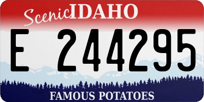 ID license plate E244295