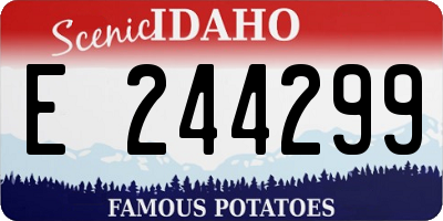 ID license plate E244299