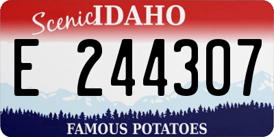ID license plate E244307