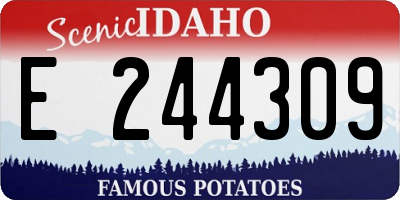 ID license plate E244309