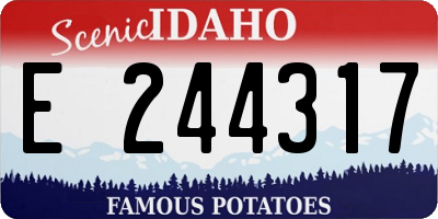 ID license plate E244317