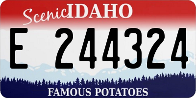 ID license plate E244324