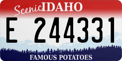 ID license plate E244331
