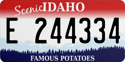ID license plate E244334