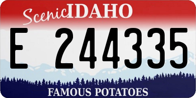 ID license plate E244335