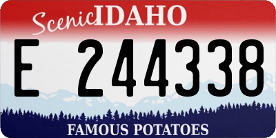 ID license plate E244338