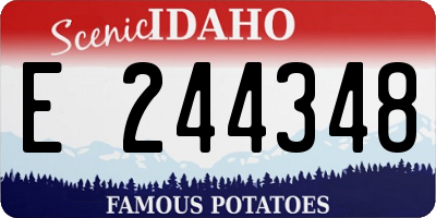 ID license plate E244348
