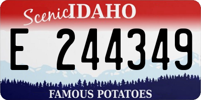 ID license plate E244349