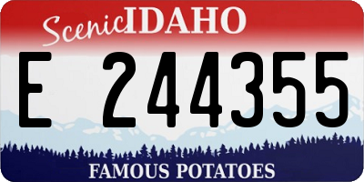 ID license plate E244355