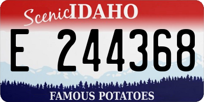 ID license plate E244368