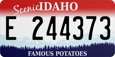ID license plate E244373