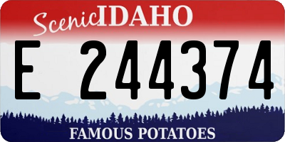 ID license plate E244374