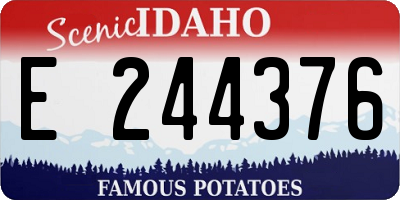 ID license plate E244376