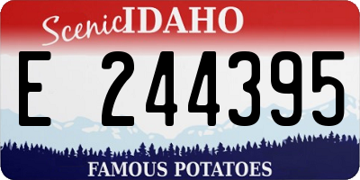 ID license plate E244395