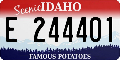 ID license plate E244401