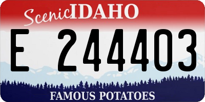 ID license plate E244403