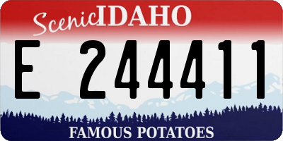 ID license plate E244411