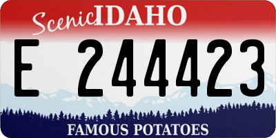 ID license plate E244423