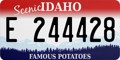 ID license plate E244428