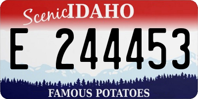 ID license plate E244453
